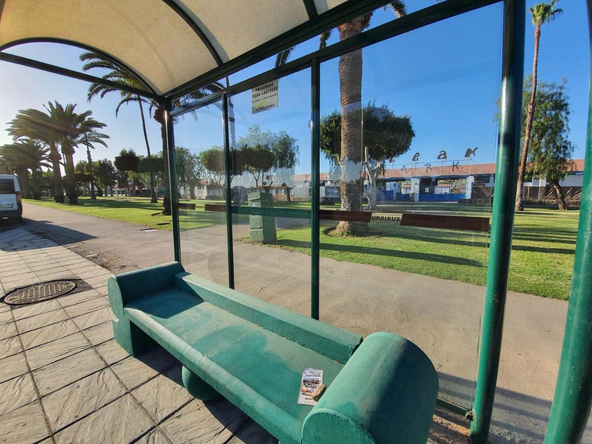 Pool & Wifi Free Shared Flat Private Room By Ocean Park Maspalomas  Extérieur photo